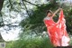 Rina Koike - Party Bugil Don P2 No.46716d